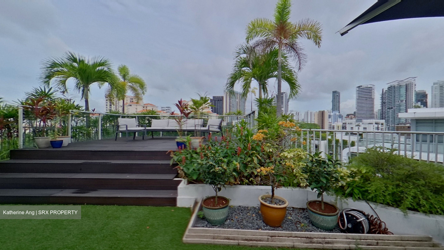 Belle Vue Residences (D9), Condominium #444484931